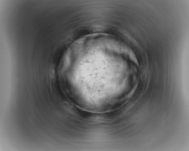 X0000113740655200910071047