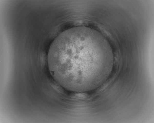 X0000113740659200910071047