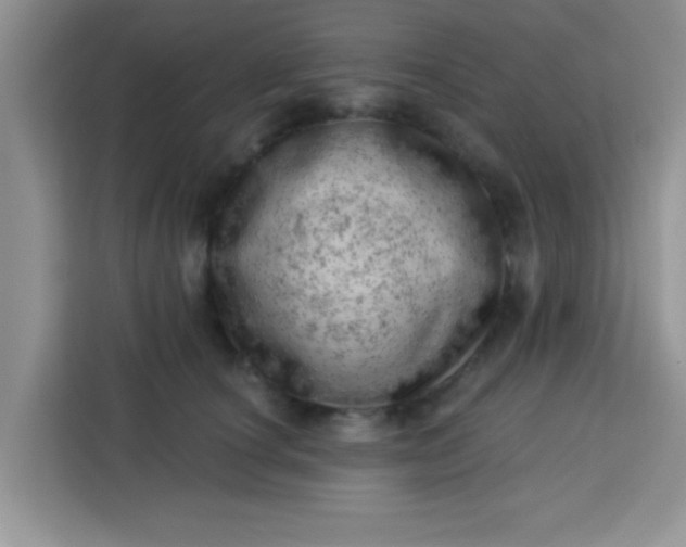 X0000113740660200910071047