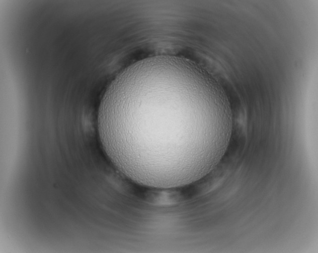 X0000113740663200910071047