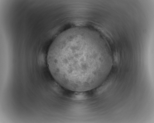 X0000113740667200910071047