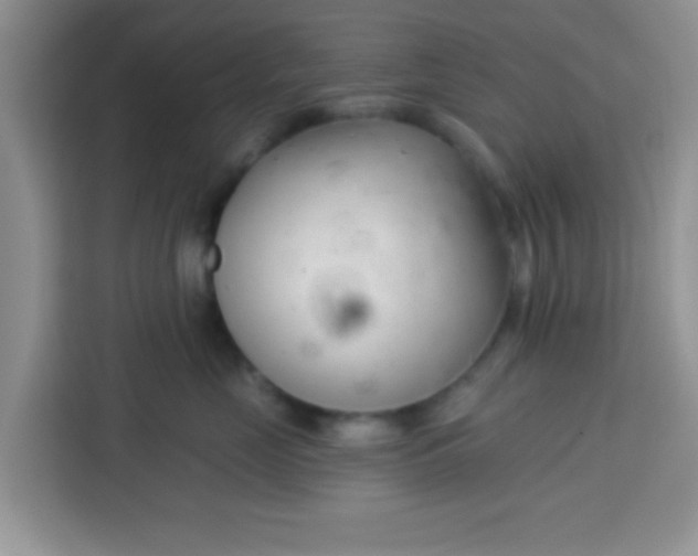 X0000113740669200910071047