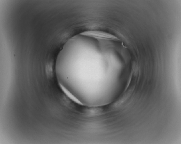 X0000113740670200910071047