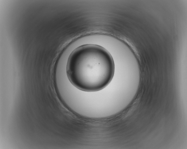 X0000113740673200910071046