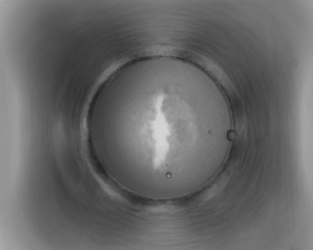 X0000113740674200910071046