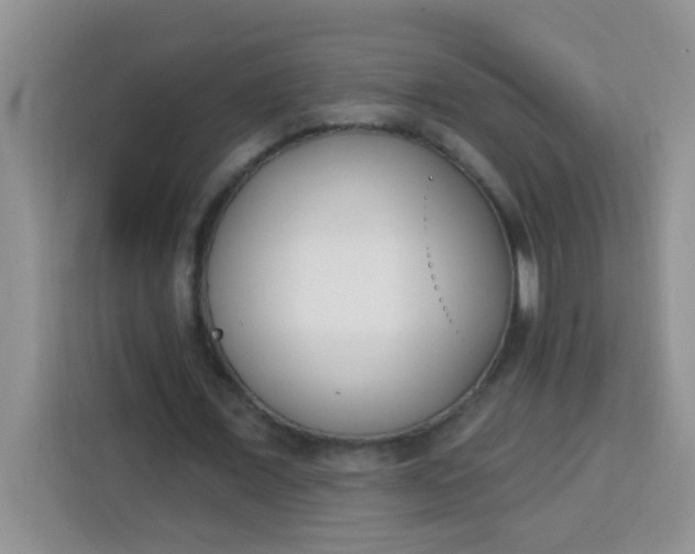 X0000113740675200910071046