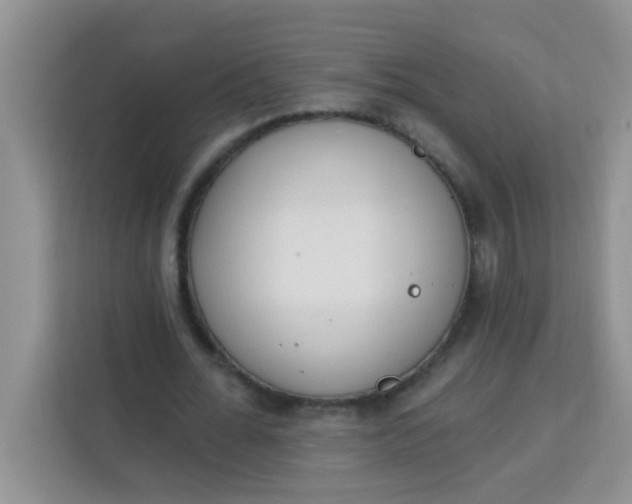 X0000113740676200910071046