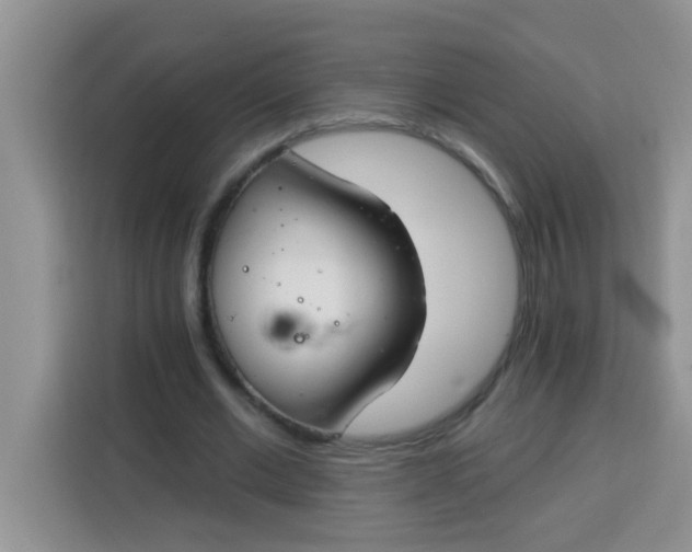 X0000113740677200910071046