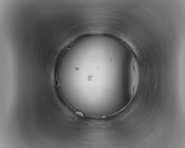 X0000113740681200910071046