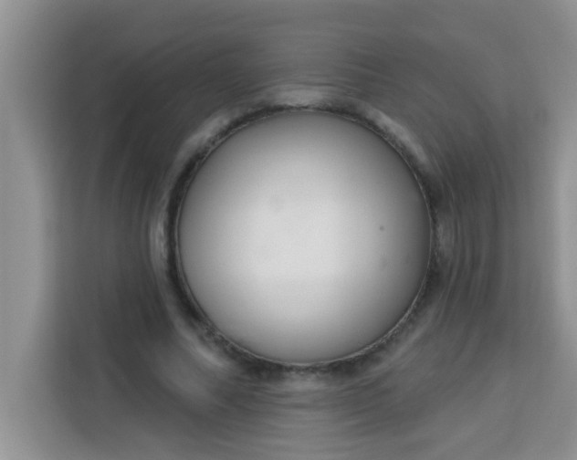 X0000113740682200910071046