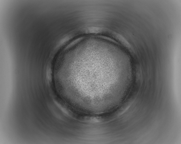 X0000113740683200910071046