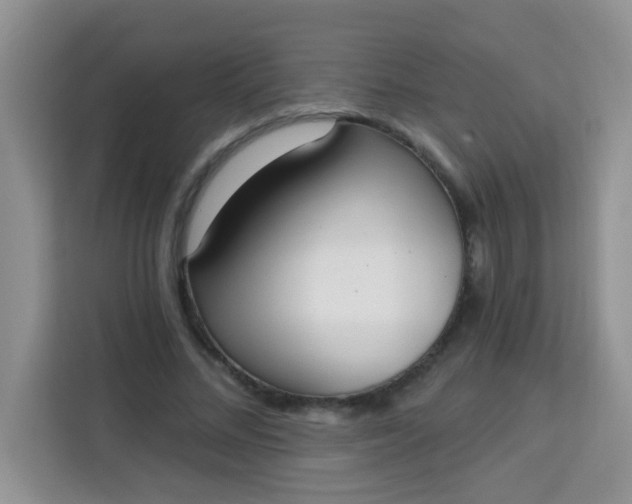 X0000113740684200910071046