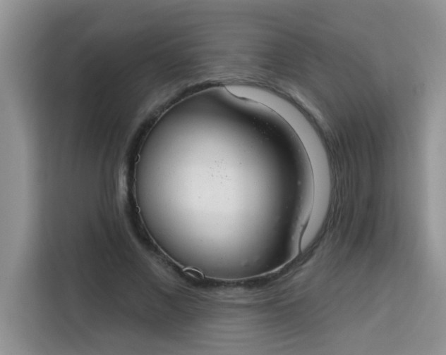 X0000113740685200910071046