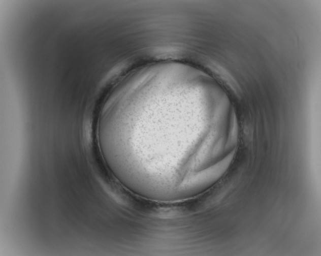 X0000113740686200910071046