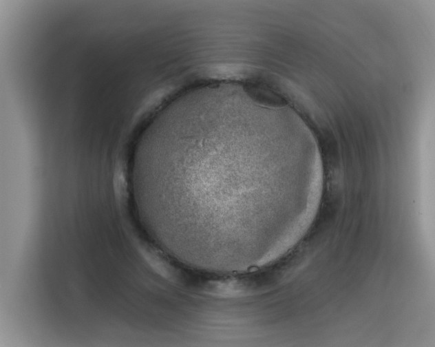 X0000113740688200910071046