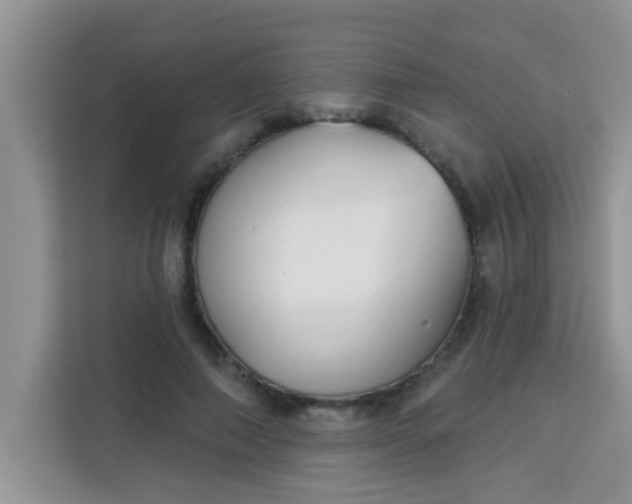 X0000113740690200910071046