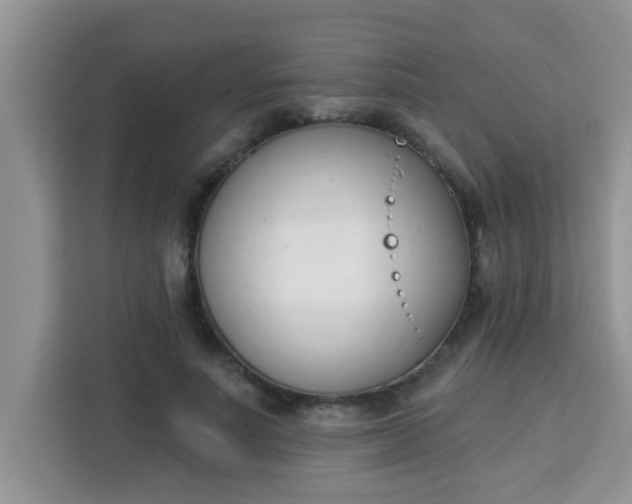 X0000113740691200910071046