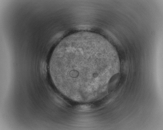 X0000113740692200910071046