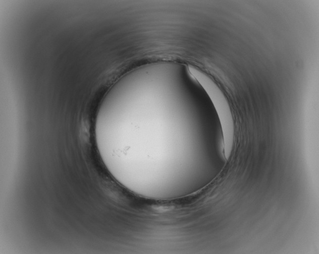 X0000113740693200910071046