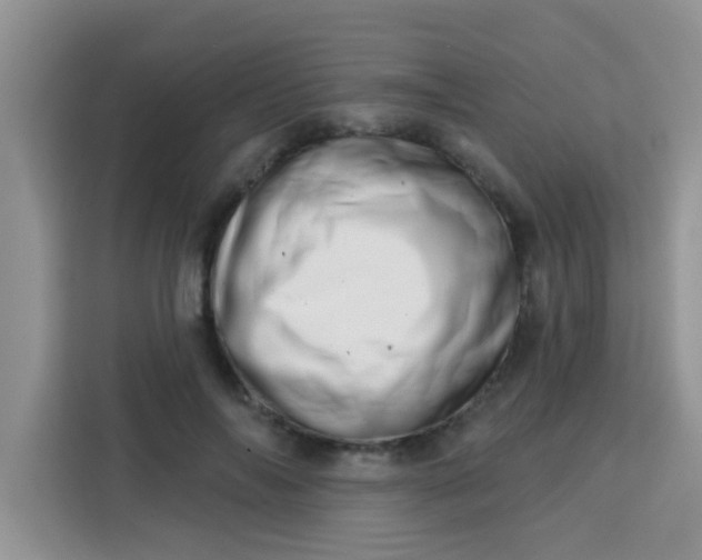 X0000113740694200910071046