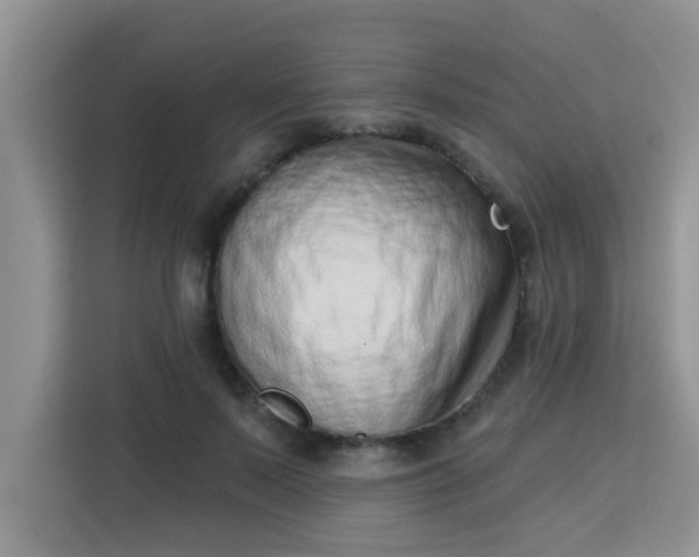 X0000113740695200910071046