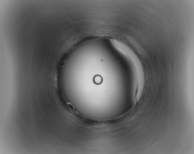 X0000113740696200910071046