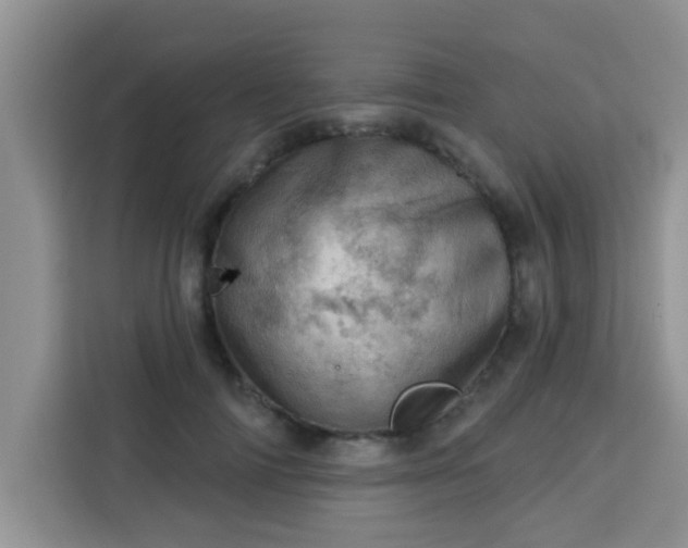 X0000113740698200910071046