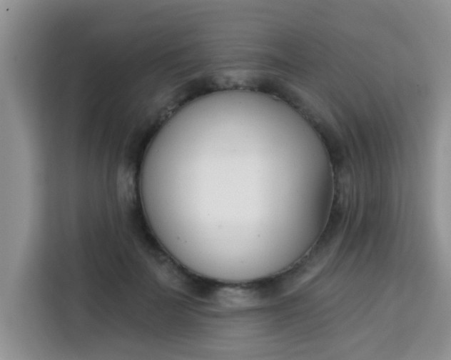 X0000113740699200910071046