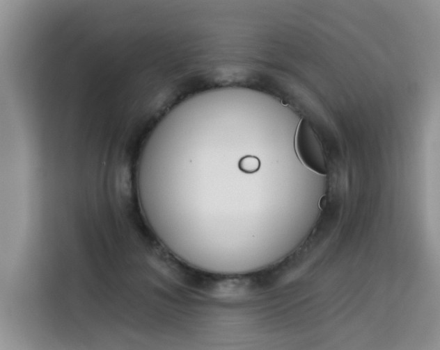 X0000113740700200910071046