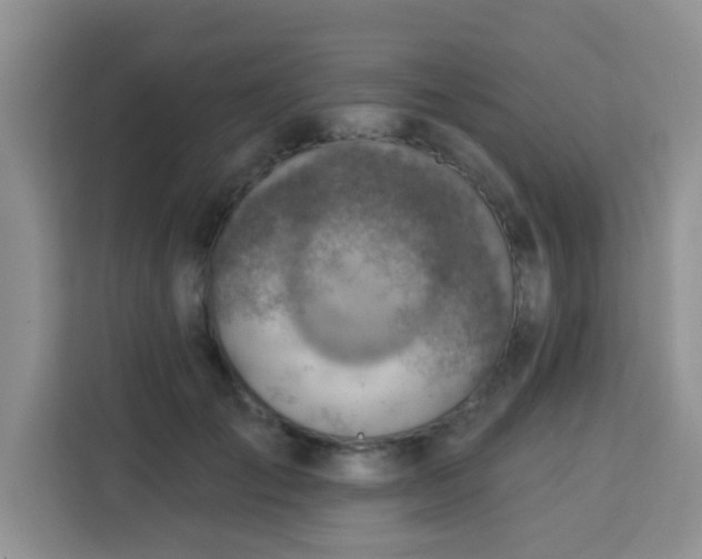 X0000113740701200910071046