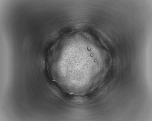 X0000113740703200910071046