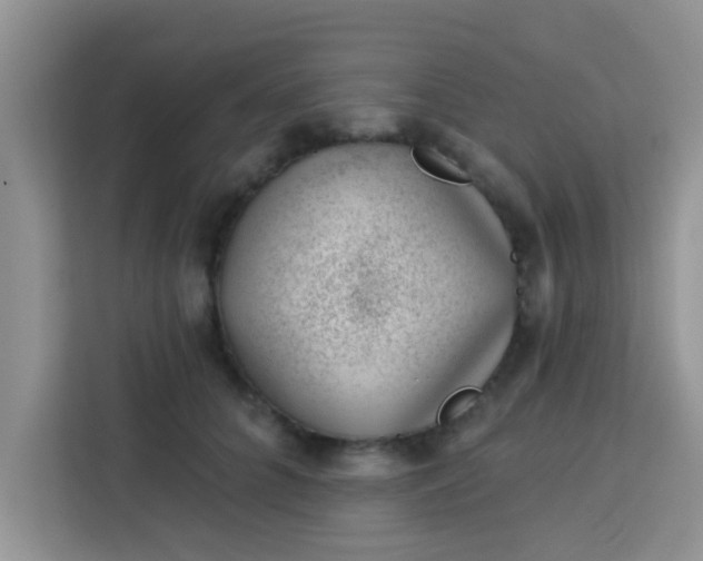 X0000113740704200910071046