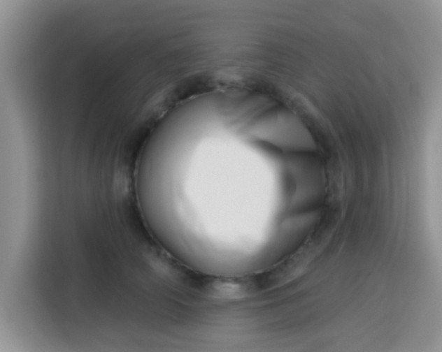 X0000113740706200910071046