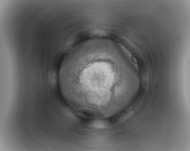 X0000113740708200910071046