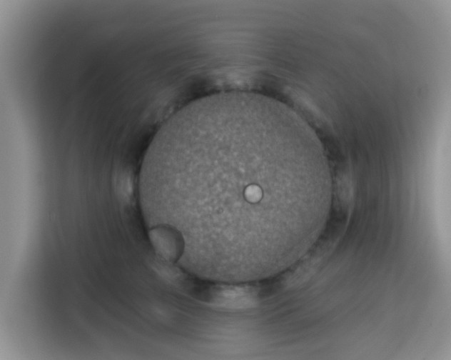 X0000113740709200910071046