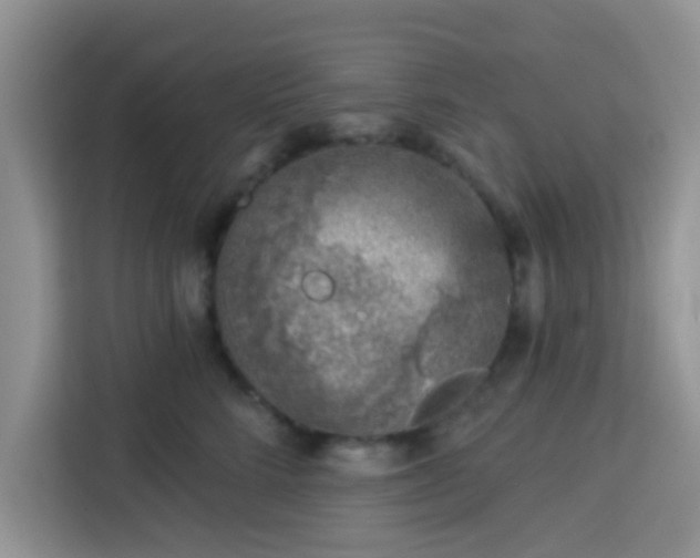 X0000113740712200910071046