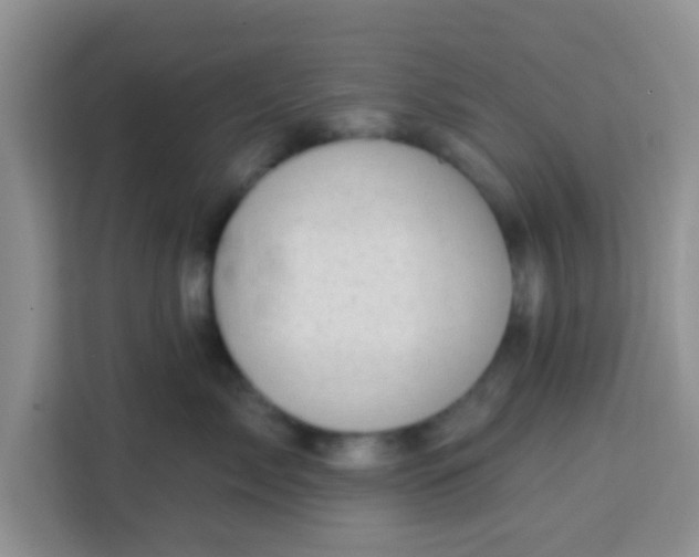 X0000113740717200910071046