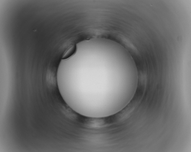 X0000113740719200910071046