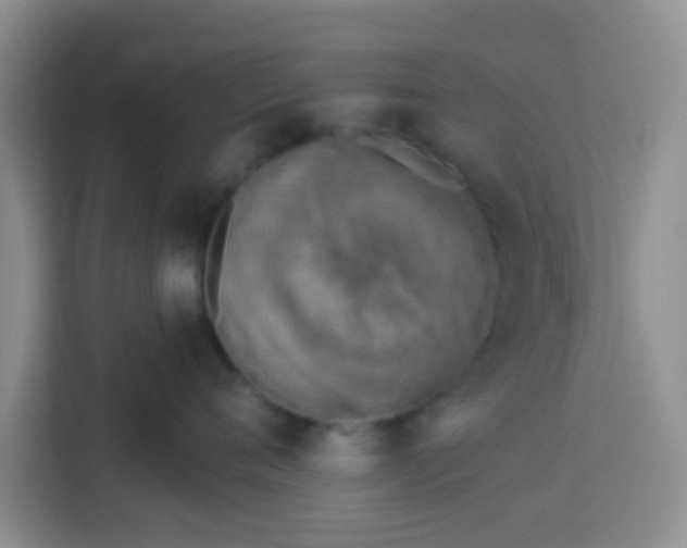 X0000113740720200910071046