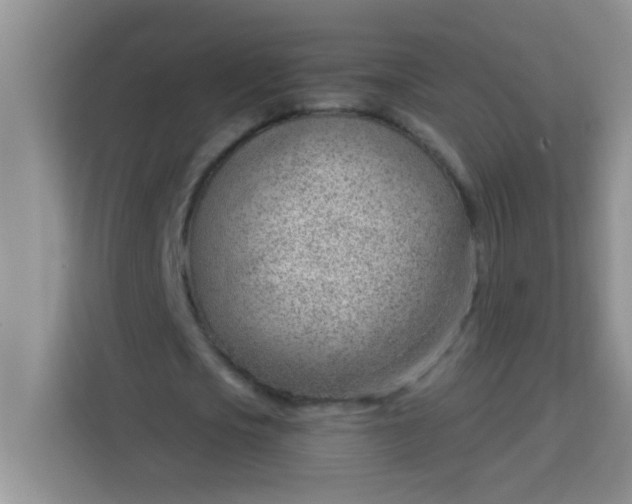 X0000113740721200910071045