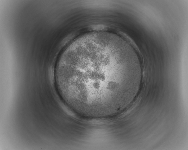 X0000113740725200910071045