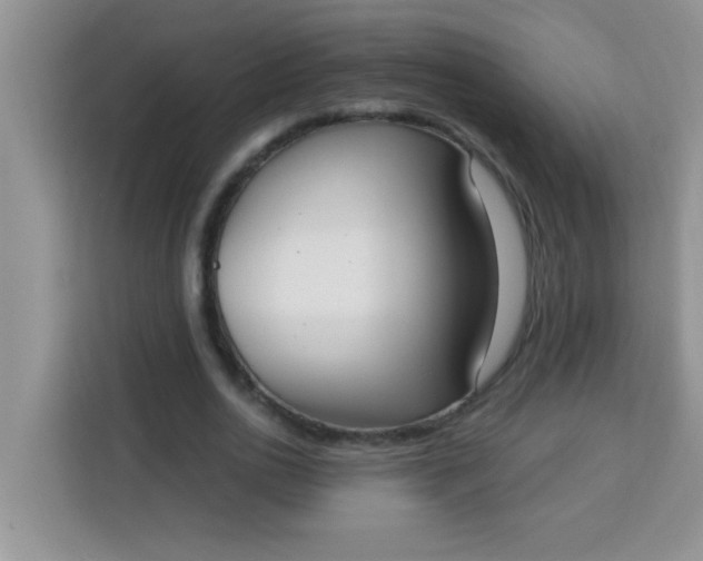 X0000113740726200910071045