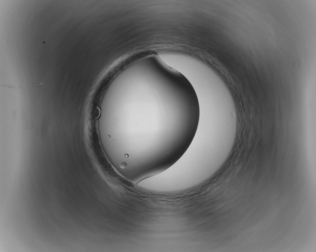 X0000113740728200910071045