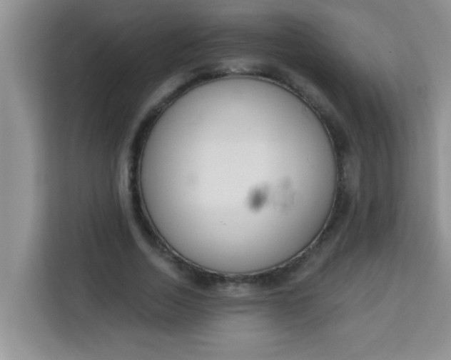 X0000113740730200910071045