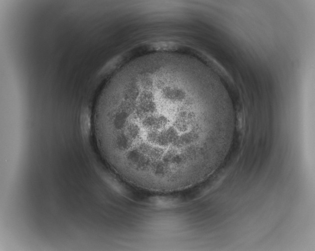 X0000113740733200910071045