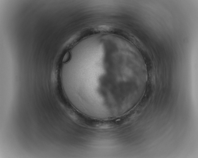 X0000113740735200910071045