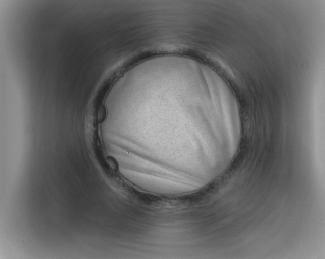 X0000113740736200910071045