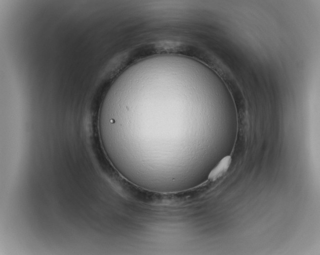 X0000113740738200910071045