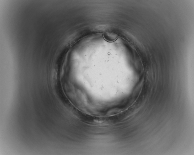 X0000113740739200910071045