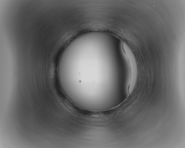 X0000113740744200910071045